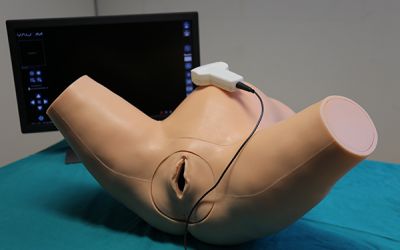 Intrapartum Ultrasound Simulator