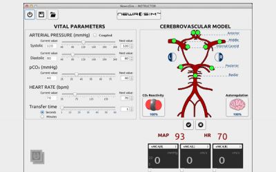 Neurological Virtual Simulator