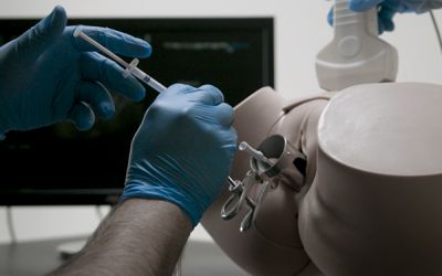 Ultrasound Guided Embryo Transfer Simulator